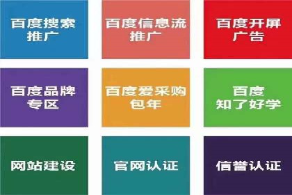 某电商平台的SEM推广策略全解析